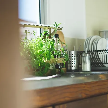 Soulsurfcamp Portugal